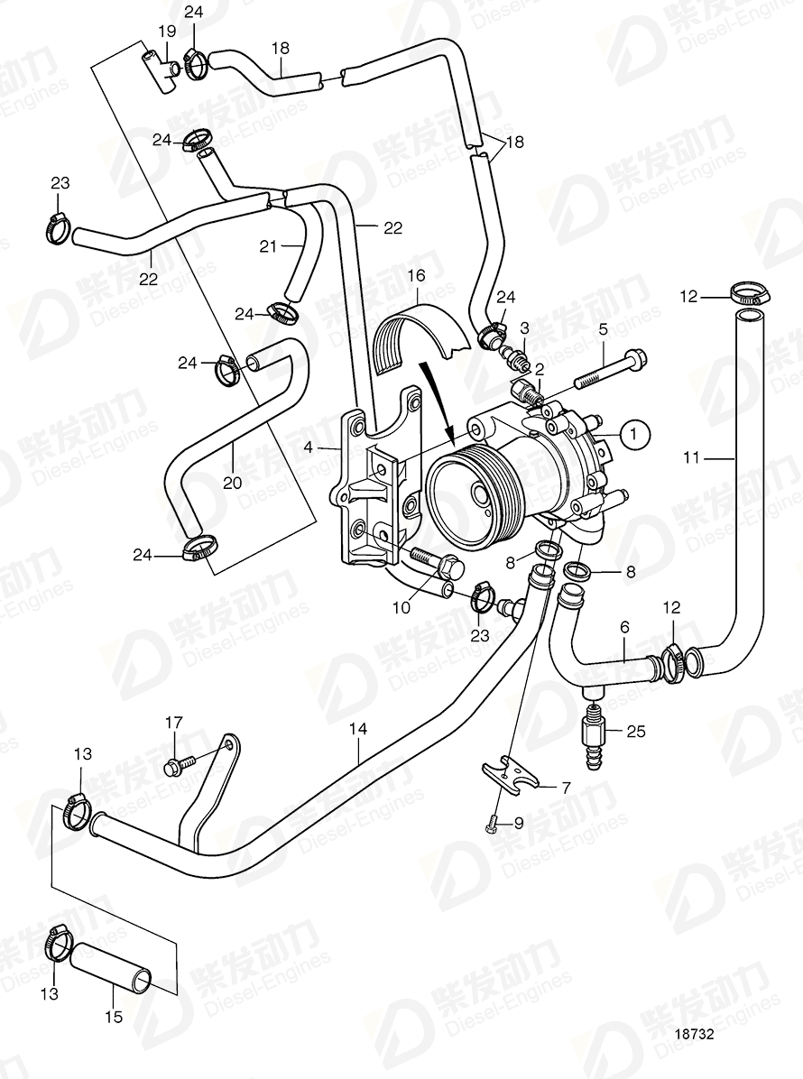 VOLVO V-ribbed belt 977832 Drawing